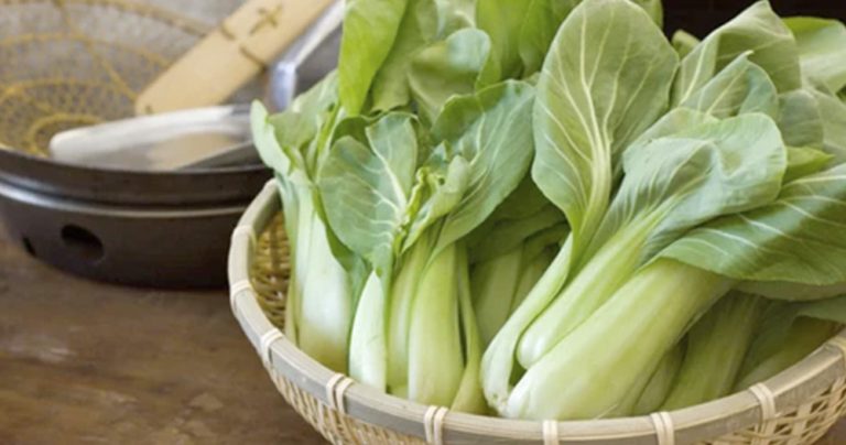 Hablemos de… Acelgas