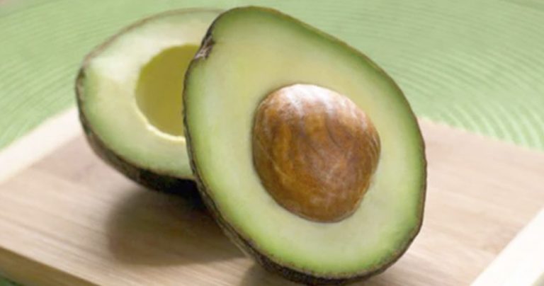 Hablemos de… Aguacate