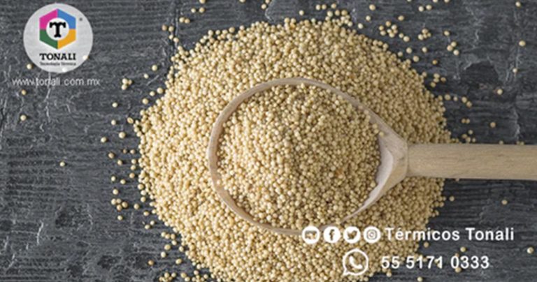 La semilla de los dioses aztecas