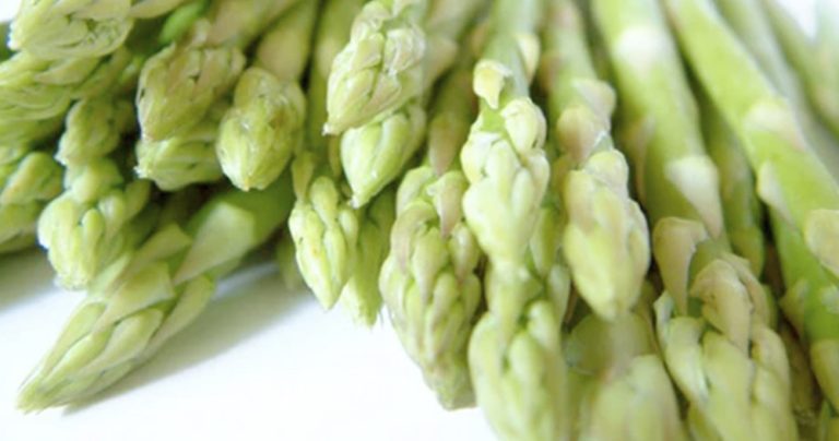 Hablemos de… espárragos